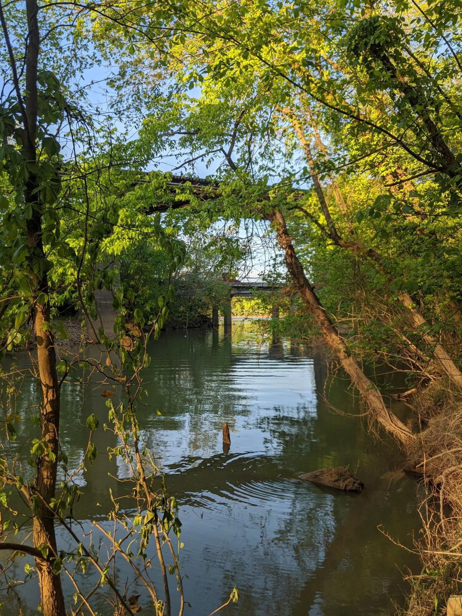 River Cabin Hot Tub & Swim Spa Near Downtown Chattanooga Exterior photo
